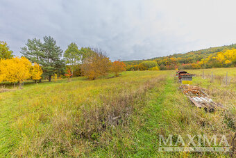 Pozemek o ploše 5229 m2 - Lažany, Lažany - 5
