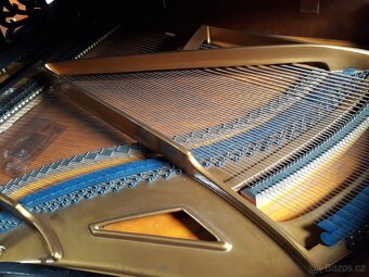 Piano August Förster - 5