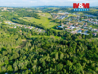 Prodej lesa ve Velkém Meziříčí - 5