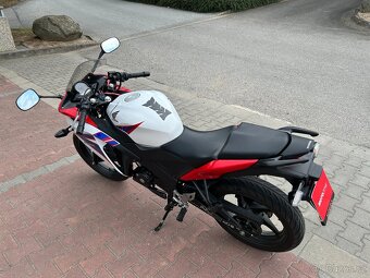 Honda CBR 125 R 2011 - 5