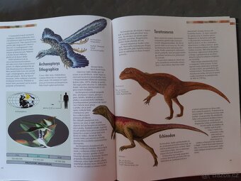 Dinosauři NOVÁ - 5