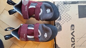 Dámské lezečky 39 EVOLV ELECTRA GREY/MERLOT - 5