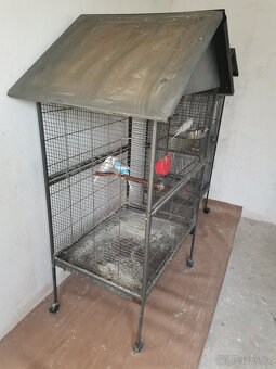 Korely + voliera - 5