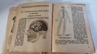 Starý slovníček + herbář - cena za obojí - 5