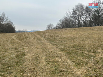 Prodej louky, 3613 m², Votice - 5