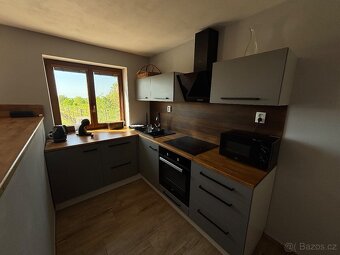 Prodej domu 118 m² - Moravský Žižkov, penzion ve vinici - 5