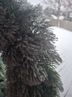 Vánoční věnec - 5