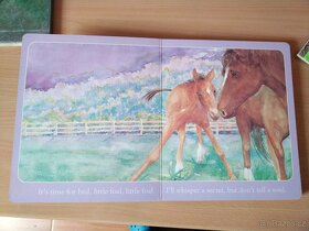 Anglické knížky pro děti - 5