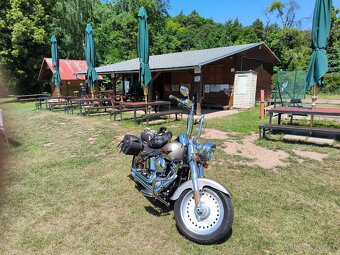 Harley Davidson Fat boy 1599 CCM, rok 2007 - 5