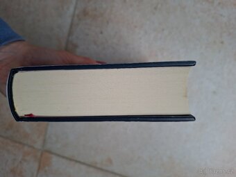 Kniha Danielle Lori - Sladká nevědomost - 5