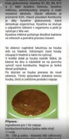 Houba Kombucha, násada - 5