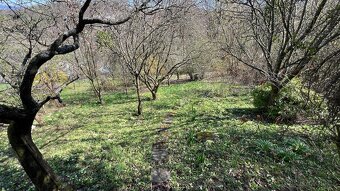 Prodej pozemek Zlín Jaroslavice - 5