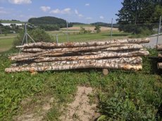 Palivové dřevo bříza Prachatice - 5