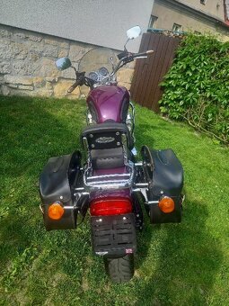 TRIUMPH Adventurer 900 - 5