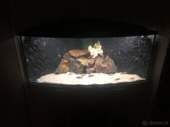 Prodám Akvarium S vybavením - 5