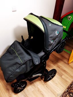 Kočárek Dorjan - 5