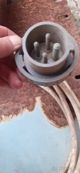 Kuželová šťípačka - 5