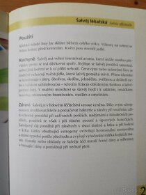 Koření Popis a použití a Tvoříme z kovu - 5