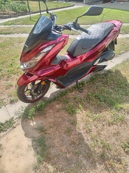 PCX 125 - 5