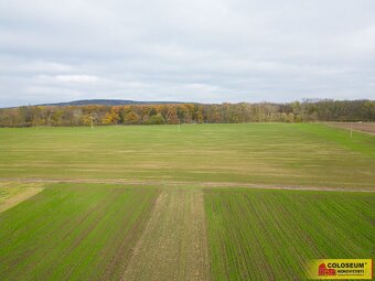 Přísnotice, prodej pozemku pro bydlení, 3 803 m², výhodná in - 5