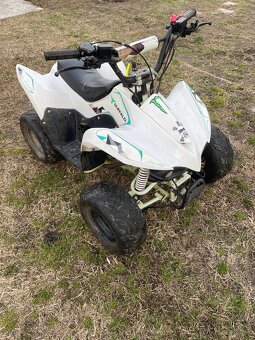Čtyřkolka buffalo 110ccm - 5