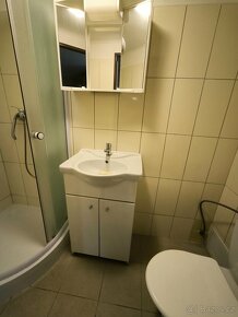 Pronájem bytu 1+1 39 m², Děčín, Teplická - 5
