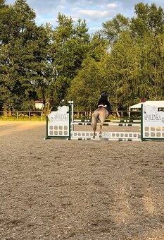 Pony klisna do sportu 10 let/ 133 KVH kat. A - 5