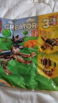 Albert Lego - 5