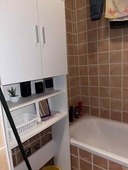 Pronájem bytu 2+1 s balkonem, 54m2 - 5