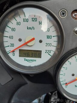 Triumph tiger 955i - 5