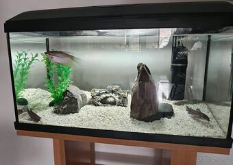Akvárium set 54 l Cat-Gato set + akvarijní stolek - 5