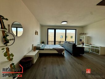 Pronájem, byty/1+kk, 43 m2, Kartónová 2843/2, 32600 Plzeň, P - 5