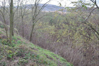 Zahrada, rokle, pozemek k rekeraci,10.731m2, Bechlín u RCE - 5