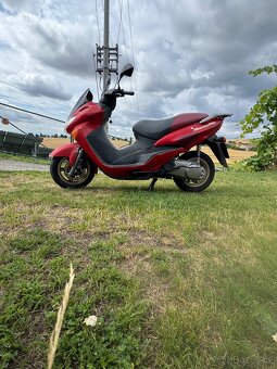 Suzuki Epicuro 150 - 5