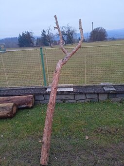 Prodám zvoničky - 5