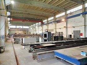 Prodej výrobní haly s portálovým jeřábem, Veselí nad Lužnicí - 5