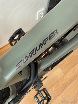 Specialized Stumpjumper Expert Carbon 29 - 5