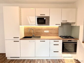 Pronájem 4kk, 1.patro, terasa, parkovací místo - 5