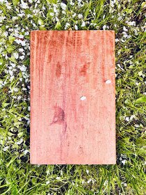 Obraz drevorezba ganesa Indie orientalni - 5