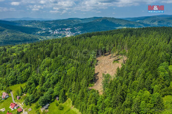 Prodej lesa, 6696 m², Tanvald - 5