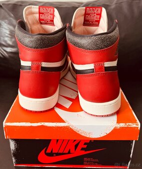 Nike Air Jordan 1 high Chicago lost and found - 5