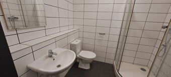 Pronájem bytu 1+kk - 5