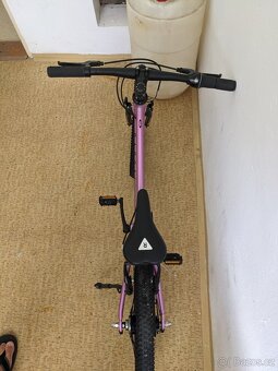 Dětské lehké kolo Rascal 20" pink - 5