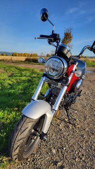 Honda Dax 125 - 5