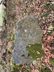 přírodní kameny, částečně porostlé mechem - 5