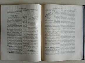 Motýli Evropy - Die schmetterlinge europas 2. Band - 5