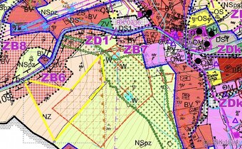Stavební pozemek Říčky v Orlických horách 13380 m2 - 5