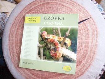 knihy o zvířatech,pavouci,ryby,užovka,holubi,králíci,brouci - 5