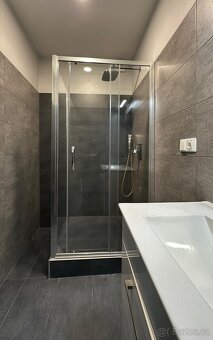Pronájem bytu 3+kk, Třinec - 5
