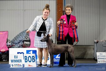 Peruansky naháč s PP - 5